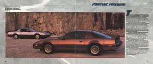 1985 Pontiac Full Line Prestige-24-25.jpg